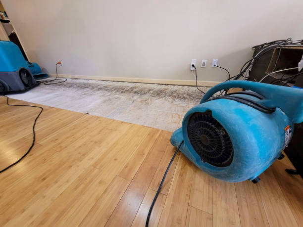 Professional Structural Drying technician working in Oak Harbor, OH